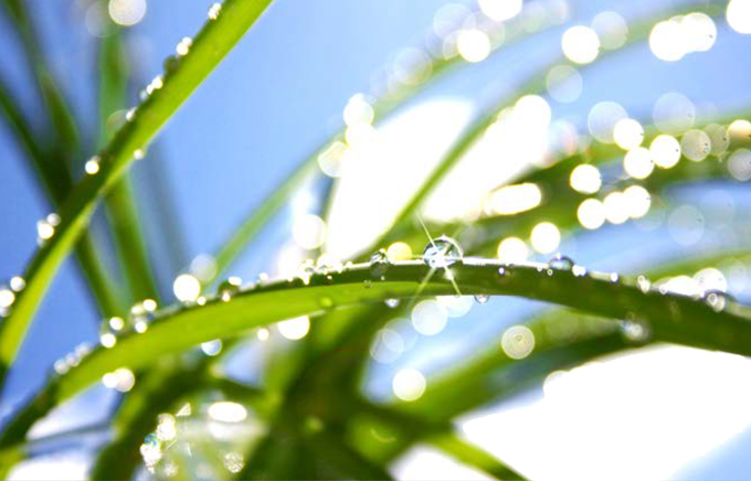 厳しい環境対応と設置の柔軟性